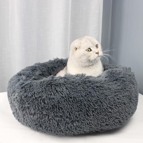 Abnehmbares Hundebett, maschinenwaschbar, weich, warm, Plüsch, rund, tiefer Schlafpolster, rutschfeste Unterseite, für Katzen, Haustiere, kuschelig, 100 cm, Dunkelgrau Abnehmbares Hundebett, maschinenwaschbar, weich, warm, Plüsch, rund, tiefer Schlafpolster, rutschfeste Unterseite, für Katzen, Haustiere, kuschelig, 100 cm, Dunkelgrau von KYMMPL