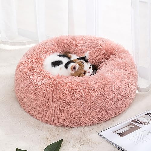 Haustierhütte, rund, Donut-Form, flauschig, warm, Plüsch, Katze, Kätzchen, Kuschelbett, rutschfest, Anti-Angst, für kleine und mittelgroße Hunde (50 cm, Rosa) von KYMMPL