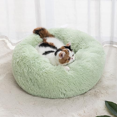 Haustierhütte, rund, Donut-Form, flauschig, warm, Plüsch, Katze, Kätzchen, Kuschelbett, rutschfest, Anti-Angst, für kleine und mittelgroße Hunde (50 cm, grün) von KYMMPL