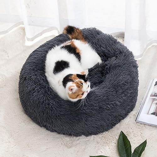 Haustierhütte, rund, Donut-Form, flauschig, warm, Plüsch, Katze, Kätzchen, Kuschelbett, rutschfest, Anti-Angst, für kleine und mittelgroße Hunde (60 cm, Dunkelgrau) von KYMMPL