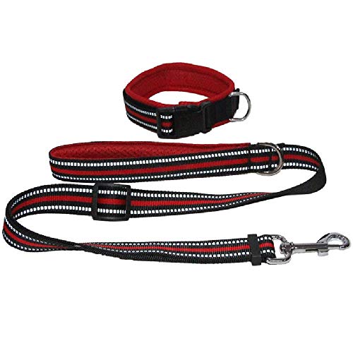 KYSA Pet Supplies Großhandel für große, mittelgroße und kleine Hunde, Air-Mesh-Halsband, verdickt, bequem, reflektierend, Teleskop-Hundeseil KYSA Pet Supplies Großhandel für große, mittelgroße und kleine Hunde, Air-Mesh-Halsband, verdickt, bequem, reflektierend, Teleskop-Hundeseil von KYSA