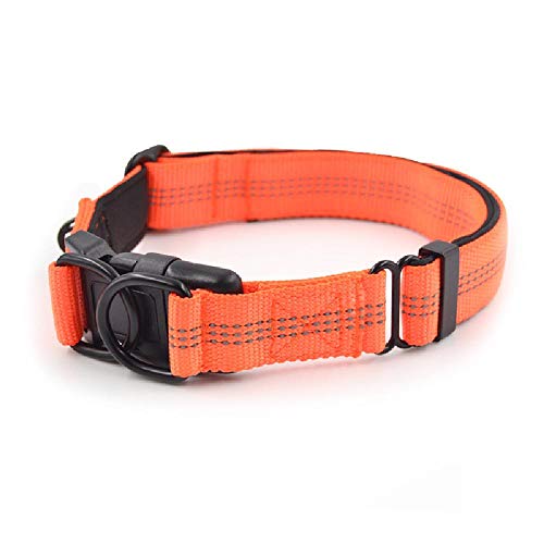 KYSA Reflektierendes Halsband für Haustiere, Nylon, verstellbar, Doppel-D-Schnalle, reflektierendes Halsband, geeignet für mittelgroße und große Hunde KYSA Reflektierendes Halsband für Haustiere, Nylon, verstellbar, Doppel-D-Schnalle, reflektierendes Halsband, geeignet für mittelgroße und große Hunde von KYSA