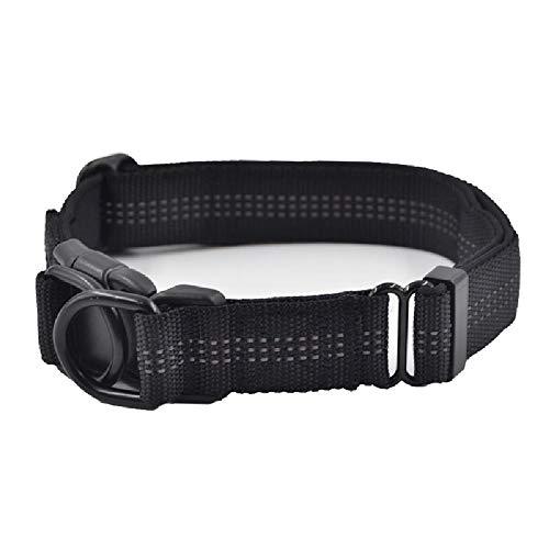KYSA Reflektierendes Halsband für Haustiere, Nylon, verstellbar, Doppel-D-Schnalle, reflektierendes Halsband, geeignet für mittelgroße und große Hunde KYSA Reflektierendes Halsband für Haustiere, Nylon, verstellbar, Doppel-D-Schnalle, reflektierendes Halsband, geeignet für mittelgroße und große Hunde von KYSA