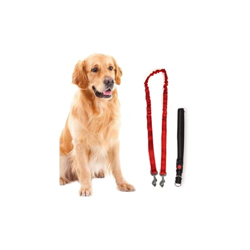 KZ GARDEN - Geschirr und Leine für Hunde, 160 cm, verstellbarer Gürtel 55 bis 90 cm, elastische Leine, Spaziergang, Jogging KZ GARDEN - Geschirr und Leine für Hunde, 160 cm, verstellbarer Gürtel 55 bis 90 cm, elastische Leine, Spaziergang, Jogging von KZ GARDEN