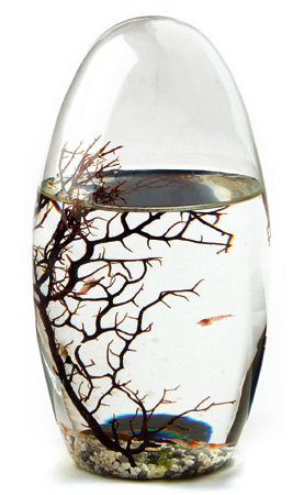 ECOSPHERE Ei 19CM -White LINE- von KaRo Products