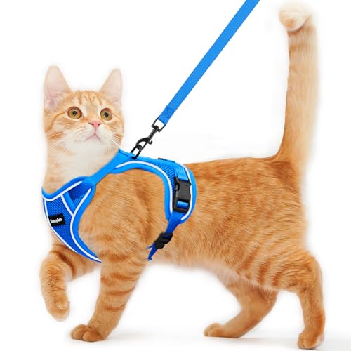 Katzengeschirr und Leine zum Spazierengehen, ausbruchsicher, weich, verstellbar, atmungsaktiv, bequem, einfach zu tragen, Kätzchengeschirr für Outdoor-Reisen, Blau, Größe S von Kaazylab