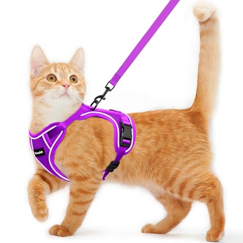 Katzengeschirr und Leine zum Spazierengehen, ausbruchsicher, weich, verstellbar, atmungsaktiv, bequem, einfach zu tragen, Kätzchengeschirr für Outdoor-Reisen, Lila, Größe M von Kaazylab