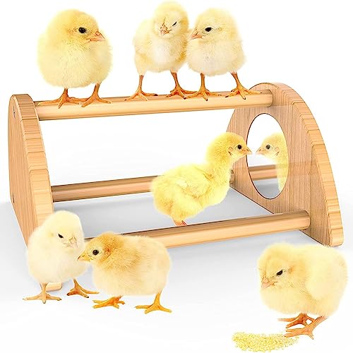 Kahdsvby Mini Küken Sitzstange mit , Bambus Roosting Bar für Stall und Bruter, Trainingsstange für Babyküken S Kahdsvby Mini Küken Sitzstange mit , Bambus Roosting Bar für Stall und Bruter, Trainingsstange für Babyküken S von Kahdsvby