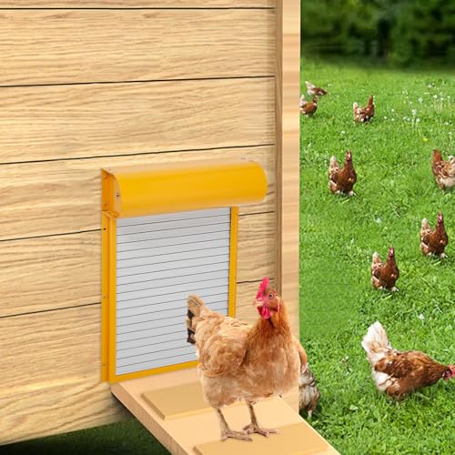 Kaichenyt Automatische Hühnerklappe, mit Solarpanel Vier Betriebsmodi Ausdauer Etwa 2 Monate Entfernung der Fernbedienung 30-40m für Hühner 24.5x37cm Gelb Kaichenyt Automatische Hühnerklappe, mit Solarpanel Vier Betriebsmodi Ausdauer Etwa 2 Monate Entfernung der Fernbedienung 30-40m für Hühner 24.5x37cm Gelb von Kaichenyt
