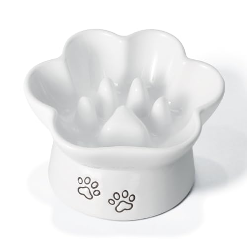 Kaiikais Slow Feeder Hundenapf und Katzenfutternapf, 240ml oz Keramik-Hundewassernapf, erhöhter Slow Feeder Hundefutternapf, Slow Feeder Katzennapf, Kleiner Slow Feeder Napf für Hunde Kaiikais Slow Feeder Hundenapf und Katzenfutternapf, 240ml oz Keramik-Hundewassernapf, erhöhter Slow Feeder Hundefutternapf, Slow Feeder Katzennapf, Kleiner Slow Feeder Napf für Hunde von Kaiikai's