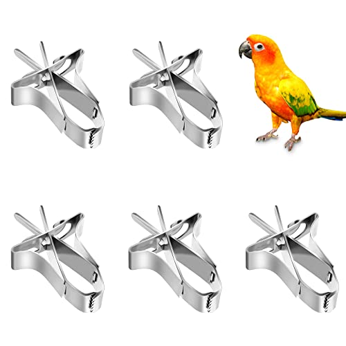 Vögel Futterhalter 5 Stück Papageien Obst Gemüse Feeder Clip, Metall Papagei Gemüsehalter Feeder Clips Vogelkäfig Zubehör für Papageien Wellensittich Vögel Futterhalter 5 Stück Papageien Obst Gemüse Feeder Clip, Metall Papagei Gemüsehalter Feeder Clips Vogelkäfig Zubehör für Papageien Wellensittich von Kaisoil