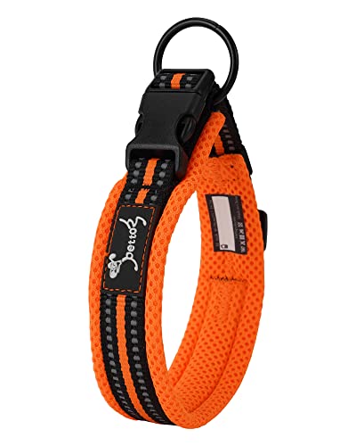 PETTOM Hundehalsband Verstellbare Nylon Hunde Halsband Atmungsaktives Reflektierend Halsband (Orange S) von PETTOM