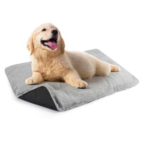 Kaket Hundebett-Matte, selbstheizend, klein, waschbar, rutschfeste Thermomatte, weiche, warme Haustier-Heizmatte für Hunde und Katzen, 36 x 50 cm, Grau, Größe S Kaket Hundebett-Matte, selbstheizend, klein, waschbar, rutschfeste Thermomatte, weiche, warme Haustier-Heizmatte für Hunde und Katzen, 36 x 50 cm, Grau, Größe S von Kaket