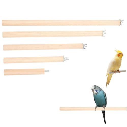 Kalastussaari 5pcs Vogelperch, natürliche Holzstange, leicht zu installierende Vogelkäfigständer für kleine mittlere Vögel Cockatiel Papagei von Kalastussaari