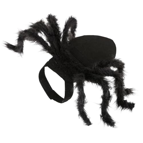 Kalastussaari Hundespinnenkostüm, gruselige Pelzhund Halloween Kostüm, verstellbares Hundes Kostüme, Katzen -Outfit für Halloween -Party, Maskerade, Fotoshootings, M Hund Halloween Kostüm Kalastussaari Hundespinnenkostüm, gruselige Pelzhund Halloween Kostüm, verstellbares Hundes Kostüme, Katzen -Outfit für Halloween -Party, Maskerade, Fotoshootings, M Hund Halloween Kostüm von Kalastussaari