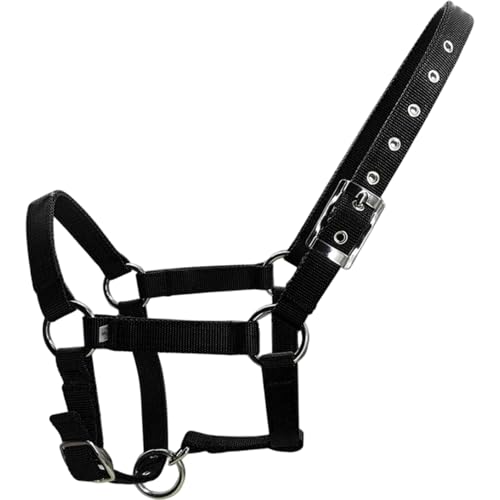 Kalastussaari Pferdehalter, Komfort Doppel-lag-Gurtband, einstellbare 1 breite grundlegende Nicht einstellbare Halter mit Metallhardware für das Training, Schwarze Farbe (M) von Kalastussaari