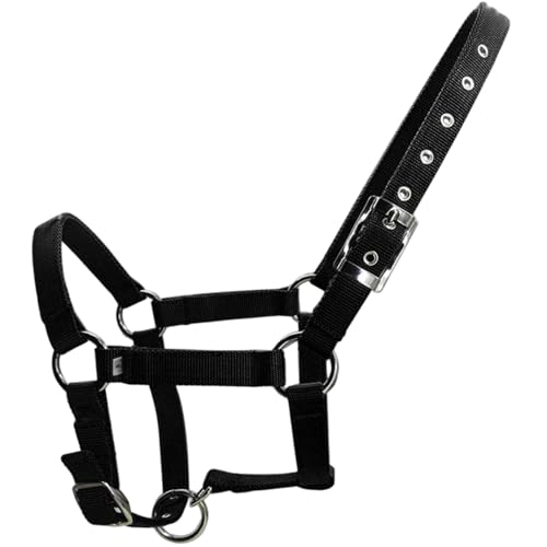 Kalastussaari Pferdehalter, Komfort Doppel-lag-Gurtband, einstellbare 1 breite grundlegende Nicht verstellbare Halter mit Metallhardware für das Training, Schwarze Farbe (L) von Kalastussaari