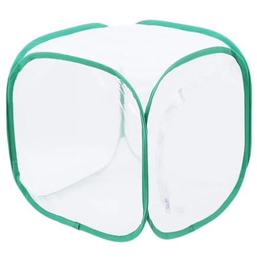 Schmetterlingsgarten, 12 -Zoll -Faltbare und atmungsaktive Mesh -Raupen für Schmetterlings -Kit, wiederverwendbar für Innen-, Außenraupen für Schmetterlinge Kit Schmetterlingsgarten, 12 -Zoll -Faltbare und atmungsaktive Mesh -Raupen für Schmetterlings -Kit, wiederverwendbar für Innen-, Außenraupen für Schmetterlinge Kit von Kalastussaari