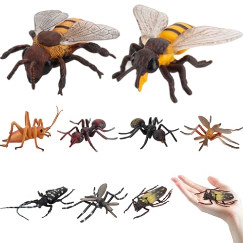 Spielzeuginsekten Spielzeug, 9pcs Mini -Figuren, realistische Bugs -Figuren Spielzeug, Halloween Party bevorzugt Schulprojektgeschenk für Kinder Kleinkinder Spielzeuginsekten Spielzeug, 9pcs Mini -Figuren, realistische Bugs -Figuren Spielzeug, Halloween Party bevorzugt Schulprojektgeschenk für Kinder Kleinkinder von Kalastussaari