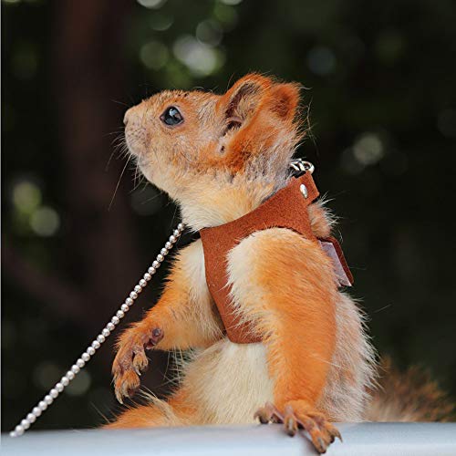 Zuggurt für Eichhörnchen, verstellbare Weste, Geschirr für kleine Tiere mit Leine, Hamster, Rennmäuse, Ratte, Maus, Frettchen, für kleine Tiere von KaloKLU
