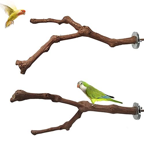 2 Stück Sitzstangen Vögel, Natur Sitzstangen Set, Naturholz Sitzstangen, Sitzstangen für Vögel, Wildes Traubenholz Natur Sitzstangen, Vogelkäfig Zubehör, für Vögel, Wellensittich, Kanarienvogel 2 Stück Sitzstangen Vögel, Natur Sitzstangen Set, Naturholz Sitzstangen, Sitzstangen für Vögel, Wildes Traubenholz Natur Sitzstangen, Vogelkäfig Zubehör, für Vögel, Wellensittich, Kanarienvogel von Kalsey
