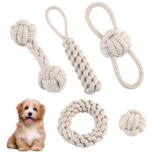5 Stück Natürlicher Baumwolle Interaktives Kauspielzeug, Hundespielzeug Seil, Kauen Hundespielzeug Set, Hunde Kauspielzeug Seil, Welpenspielzeug Für Zahngesundheit Und Zahnreinigung 5 Stück Natürlicher Baumwolle Interaktives Kauspielzeug, Hundespielzeug Seil, Kauen Hundespielzeug Set, Hunde Kauspielzeug Seil, Welpenspielzeug Für Zahngesundheit Und Zahnreinigung von Kalsey