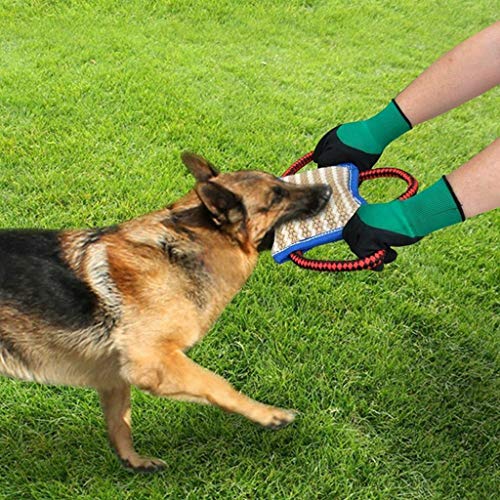 Kalttoy Hundetraining Beißkissen Leinen Zerrspielzeug mit 3 langlebigen Griffen Deutscher Schäferhund Kalttoy Hundetraining Beißkissen Leinen Zerrspielzeug mit 3 langlebigen Griffen Deutscher Schäferhund von Kalttoy