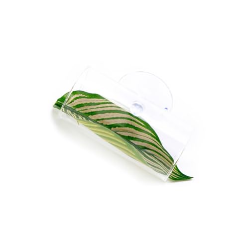 Kalttoy Künstliche Wasserpflanze, Aquarium, Terrarium, Aquarium, Ornamente Kalttoy Künstliche Wasserpflanze, Aquarium, Terrarium, Aquarium, Ornamente von Kalttoy