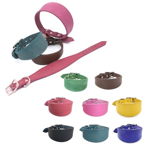 Modisches Hundehalsband für Salukis, Windhunde, breit, gepolstert, Haustierzubehör Modisches Hundehalsband für Salukis, Windhunde, breit, gepolstert, Haustierzubehör von Kalttoy