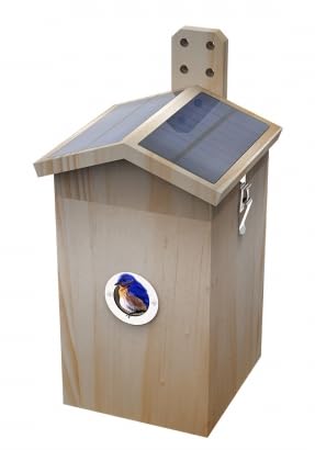 Solar-Betriebenes Vogelhäuschen mit HD-Kamera, Bewegungssensor, Holzkonstruktion, 1080P Livestream, Meisenkasten, App für iOS und Android von Kamera im Vogelhaus