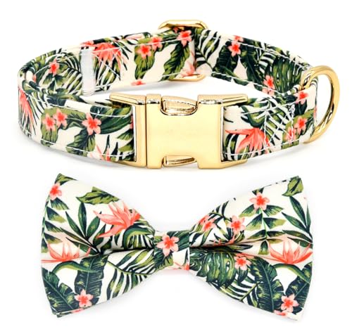 Halsband für Katzen/Hunde, Strelitzia, hawaiianisches Blumenmuster, Hochzeits- und Geburtstagszubehör, Größe XS (15,2 cm – 25,4 cm) von Kamercy
