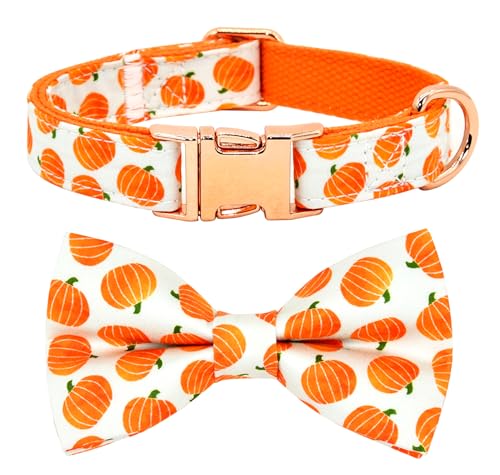 Hundehalsband-Schleifen-Set, orangefarbenes Kürbismuster – kleiner Hund – Welpe Hundehalsband-Schleifen-Set, orangefarbenes Kürbismuster – kleiner Hund – Welpe von Kamercy