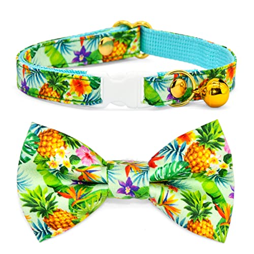 Kamercy Katzenhalsband, Schleife, tropische Ananas-Katzenhalsband, Schleife mit Anhängern und Glöckchen, Sicherheitsverschluss, niedliche Katzen-Outfits, 15,2–25,4 cm Kamercy Katzenhalsband, Schleife, tropische Ananas-Katzenhalsband, Schleife mit Anhängern und Glöckchen, Sicherheitsverschluss, niedliche Katzen-Outfits, 15,2–25,4 cm von Kamercy