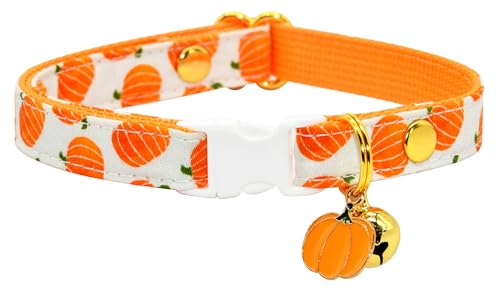 Katzenhalsband mit Anhänger, Halloween-Kürbis, Sicherheitsverschluss, Kätzchenhalsband von Kamercy