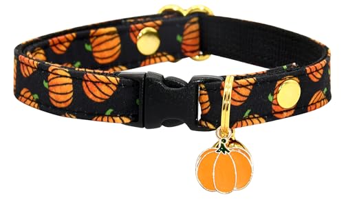 Katzenhalsband mit Anhänger, Halloween-Kürbis, Sicherheitsverschluss, Kätzchenhalsband Katzenhalsband mit Anhänger, Halloween-Kürbis, Sicherheitsverschluss, Kätzchenhalsband von Kamercy