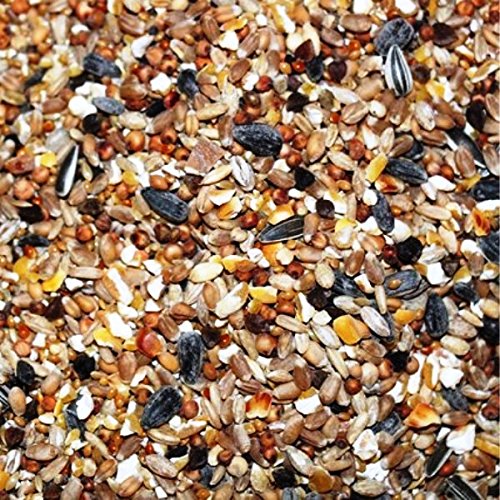 Kampol 10 kg DZP Wildvogelmischung Kampol 10 kg DZP Wildvogelmischung von Kampol