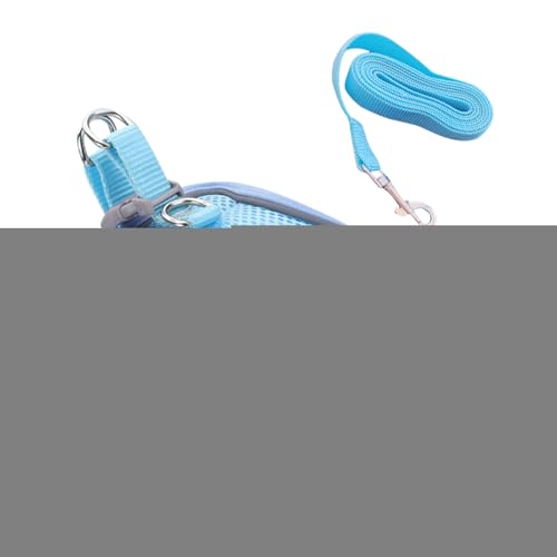 Kanoauo Ausbruchssicheres Katzengeschirr - Weiches Mesh-Geschirr Mit Reflektierenden Sicherheitsstreifen - Größen S M L Für Wanderungen Training Reisen Outdoor Kanoauo Ausbruchssicheres Katzengeschirr - Weiches Mesh-Geschirr Mit Reflektierenden Sicherheitsstreifen - Größen S M L Für Wanderungen Training Reisen Outdoor von Kanoauo