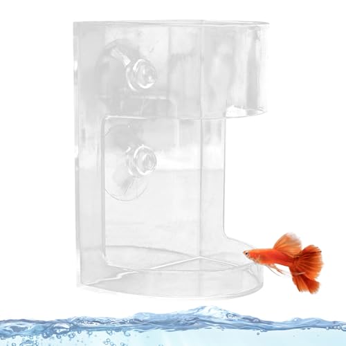 Kanoauo Fischfutter Spender,Transparenter Fischfutter Spender - Driftgeschützter mit Saugnapf und Großem Fassungsvermögen für, Kampffische, Teiche & Aquarien von Kanoauo