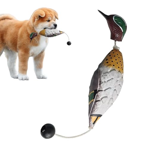 Kanoauo Hundetrainings-Entenschnuller, Wasservögel Jagd Retriever | Realistische Geflügeltrainer Mit Wurfknebel, Vogeldummy Hundetraining Für Welpen Oder Erwachsene Jagdhunde Kanoauo Hundetrainings-Entenschnuller, Wasservögel Jagd Retriever | Realistische Geflügeltrainer Mit Wurfknebel, Vogeldummy Hundetraining Für Welpen Oder Erwachsene Jagdhunde von Kanoauo