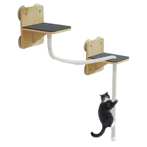 Kanoauo Katzen Wandregale - Stabiler Und Sicherer Kletterbaum Möbel Set - Kletterwand mit Liegeplatz, Kratzfunktion, Stufen als Fensterplatz für Haus von Kanoauo