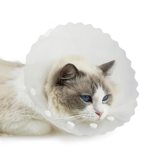 Verstellbares Halsband aus Kunststoff für Katzen, perfekt geeignet für postoperative Rehabilitation, Verletzungslinderung, Anti-Leck-Halsband für Hunde, Anti-Leck-Halsband für Katzen, Hundehalsband von Kaohxzklcn