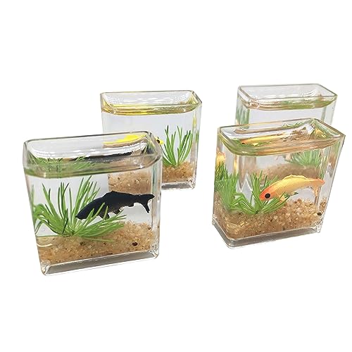 Winziges Glasfisch-Aquarium, zartes Modell-Zubehör für Puppenhaus-Sammler, Miniatur-Szene, Simulation, einzigartiges Aquarium von Kaohxzklcn