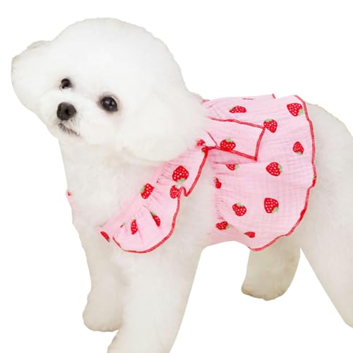 Kapaunn Kleine Hundekleider für Frauen, Welpenkleider für Mädchen und kleine Hunde,Welpenkleidung Katzenkleider | Süße Hundekleider mit Erdbeerdruck, Katzenbekleidung, Hundekleidung für kleine Hunde von Kapaunn