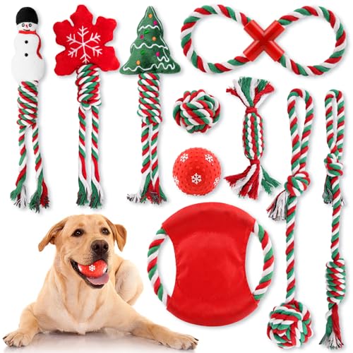 Kapetgo 10 Stück Weihnachts-Hundespielzeug, Weihnachts-Hundespielzeug für Welpen, Kauspielzeug mit Seilspielzeug, interaktives Hundespielzeug und quietschendes Spielzeug für kleine, mittelgroße Hunde von Kapetgo