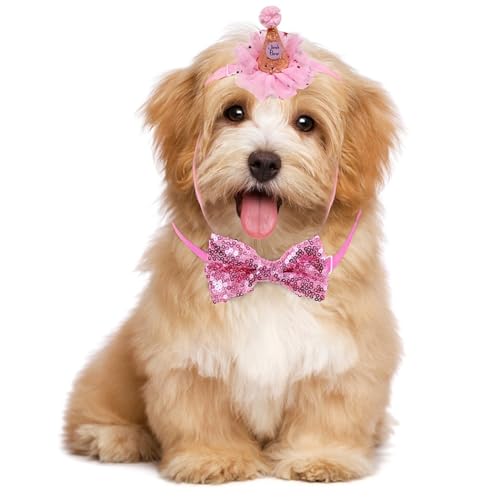 Glitzernder Netz-Partyhut für Haustiere, lustiger Hunde-Geburtstagsmütze mit Halsband, Urlaubskätzchen, feierlicher Kegel von Kapmore