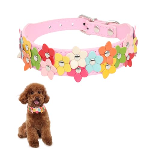 Kapmore Atmungsaktives Hundehalsband, bunt, verstellbar, niedlich, personalisierbar, Blume, sicher für das Halsband Kapmore Atmungsaktives Hundehalsband, bunt, verstellbar, niedlich, personalisierbar, Blume, sicher für das Halsband von Kapmore