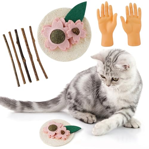 Kapmore Bissfestes Kätzchen-Spielzeug-Kit - Interaktiver & Tragbarer Katzenminzestab, flexible Trainings-Mini-Hände von Kapmore