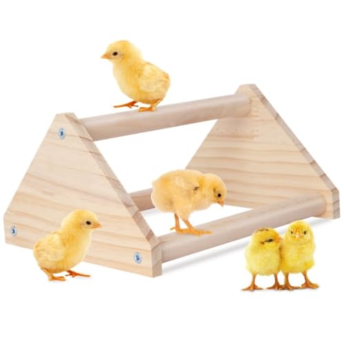 Kapmore Chick Barch, Chick Stand Training Bar, Natural Wood Roosting Bar for Coop and Broder, 20 x 17 x 10 cm von Kapmore