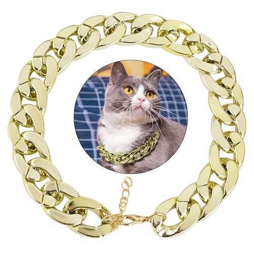 Kapmore Coole & langlebige Haustierhalsband für Katzen und kleine Hunde – modisches Accessoire aus Kunststoff von Kapmore