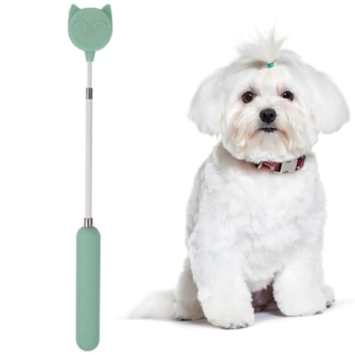 Kapmore Einziehbarer Silikon-Katzenstock - Weiches, flexibles Trainingswerkzeug für Kätzchen, Hund & andere Tiere - Haustier-Trainingsspielzeug ausziehbar lang von Kapmore